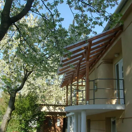Magnolia *