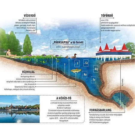 Magnolia Apartamento *